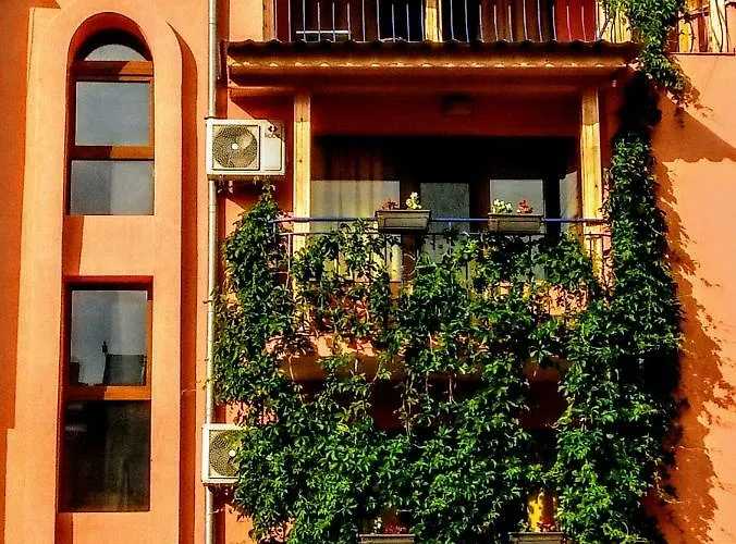 Guest house Maria 4*